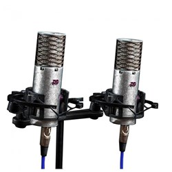 Aston Spirit Multi-Pattern Condenser Microphones Stereo Pair