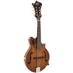 Barnes & Mullins BM650 Salvino Mandolin