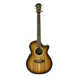 Cole Clark AN2E-BLBL Acoustic Electric Guitar inc Hard Case (Sunburst)