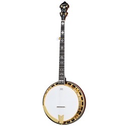 Epiphone Early Scruggs Golden Deluxe Banjo (Vintage Sunburst) inc Hardshell Case