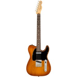 Fender American Performer Telecaster Rosewood F/Board (Honey Burst) inc Gig Bag