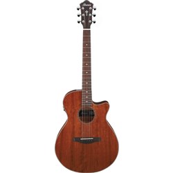 Ibanez AEG220 AEG Acoustic Guitar (Natural Low Gloss)