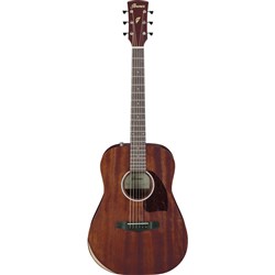 Ibanez PF14JROPN Acoustic Guitar Open Pore (Natural)