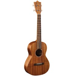 small body acoustic guitar martin