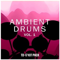 Roland Lifetime Key TD-17 Kit Pack Ambient Drums Vol. 1 (eLicense)