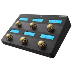 Singular Sound MIDI Maestro - Midi Foot Controller Special Edition (Gold)