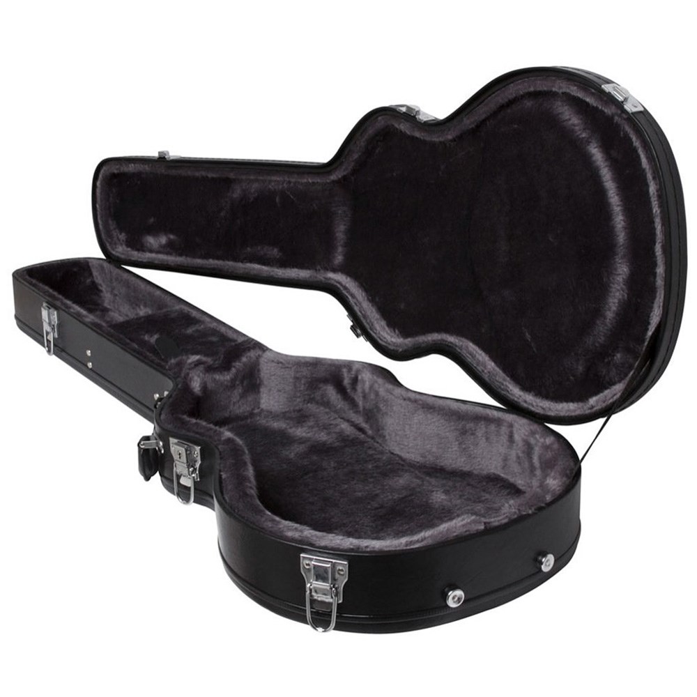 epiphone acoustic guitar case