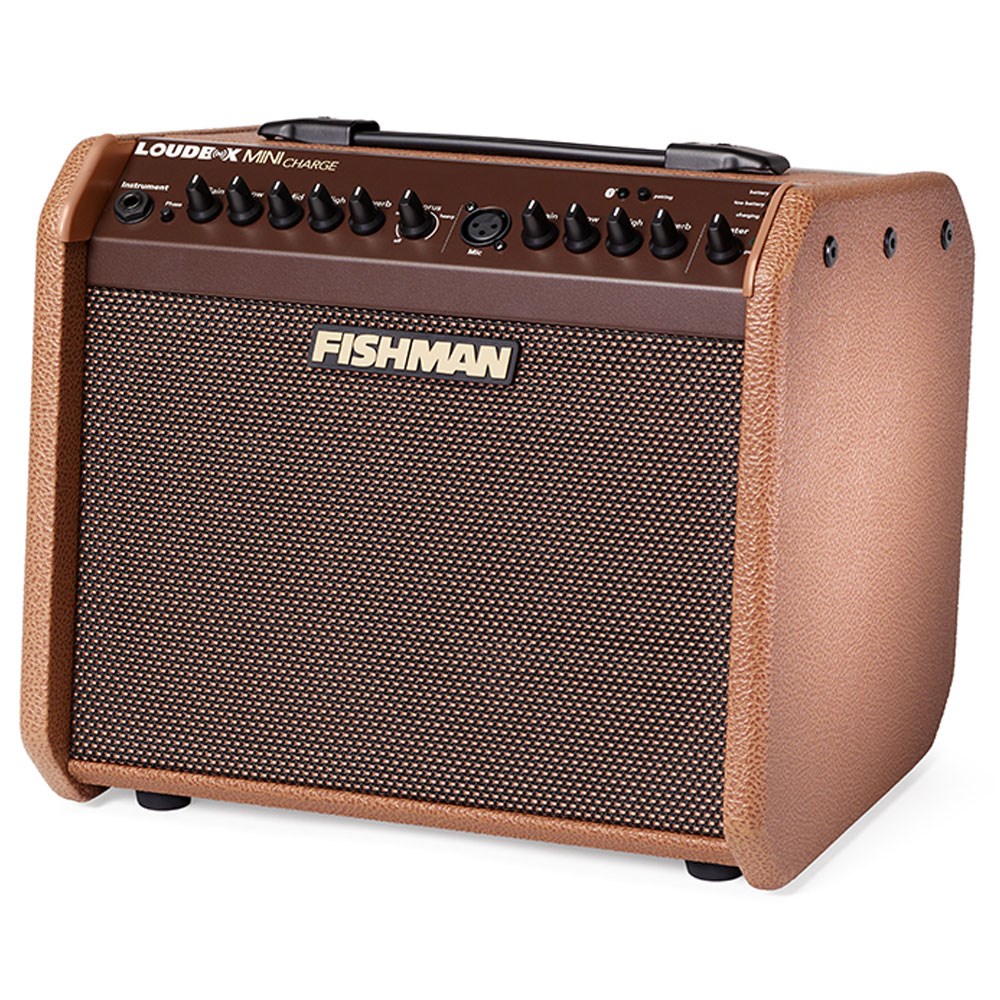 Fishman loudbox mini on sale with bluetooth