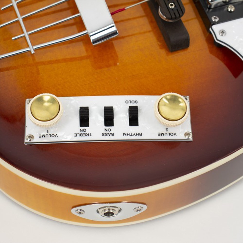 hofner violin bass pickups