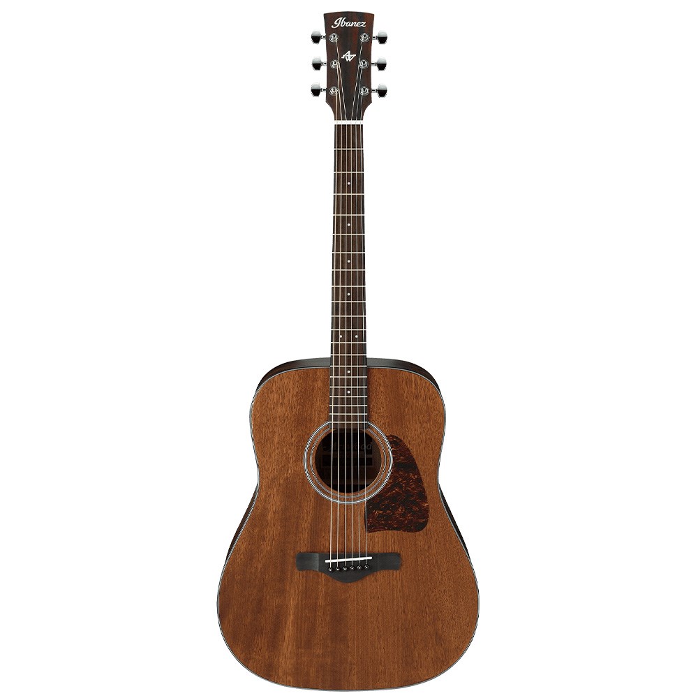 ibanez artwood dreadnought