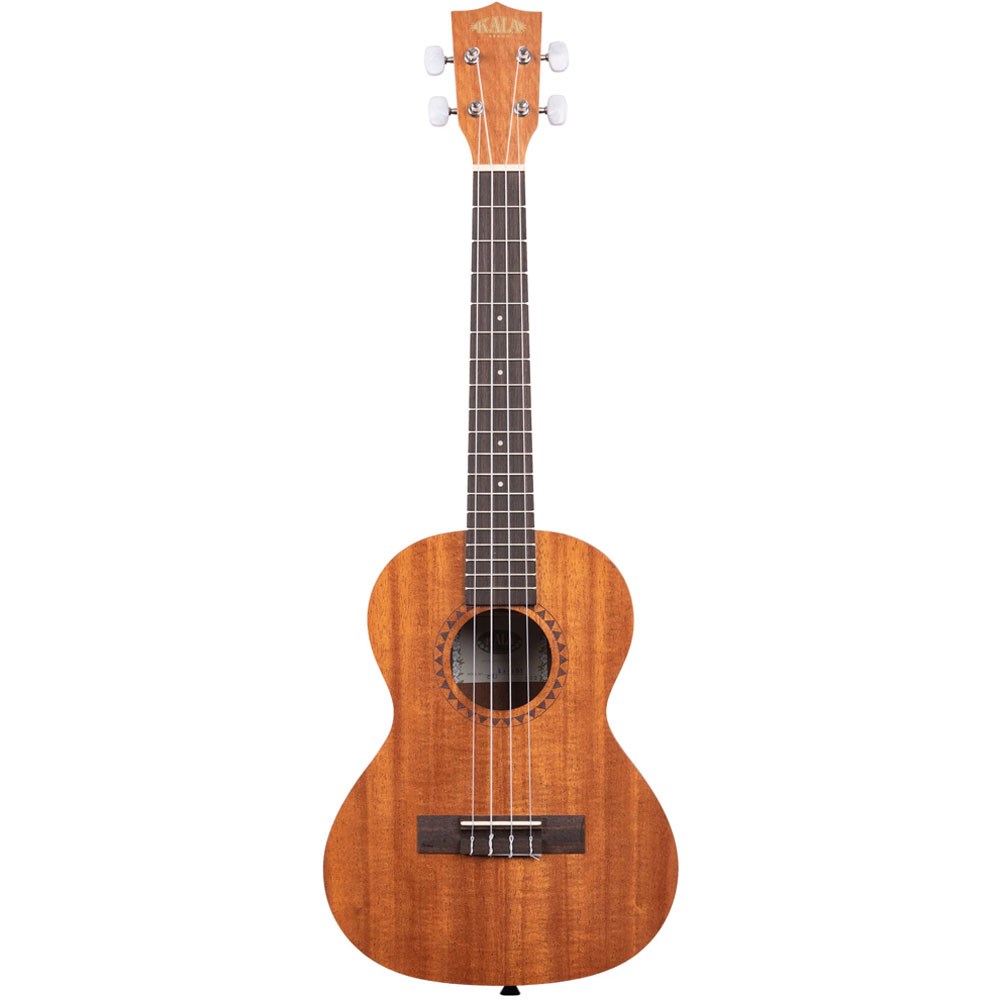 Ukulele brands online and prices