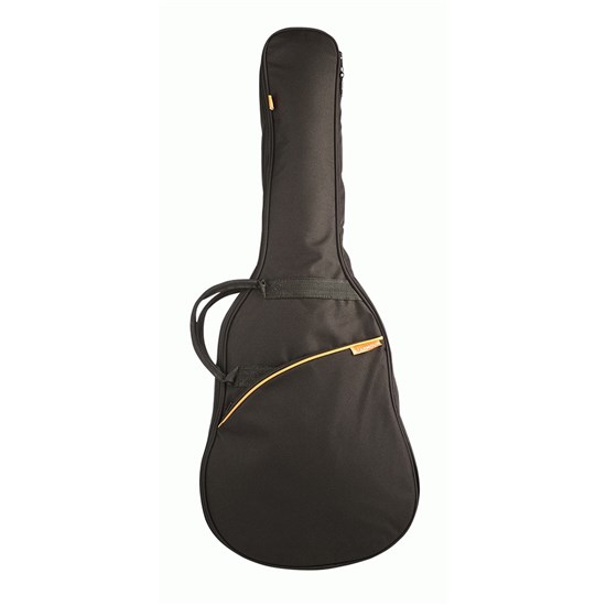 Junior 2024 guitar case