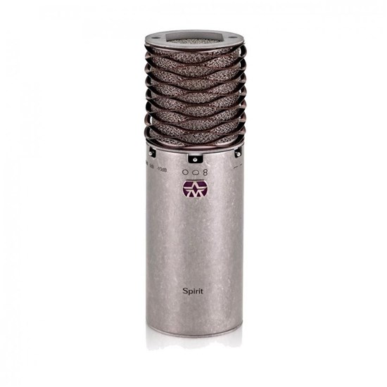 Aston Spirit Multi-Pattern Condenser Microphones Stereo Pair