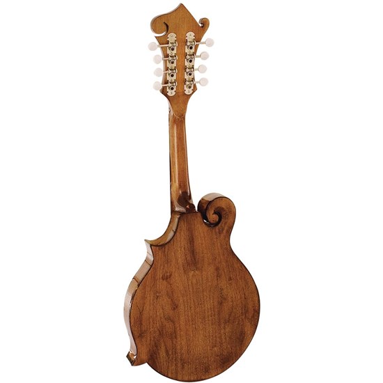 Barnes & Mullins BM650 Salvino Mandolin