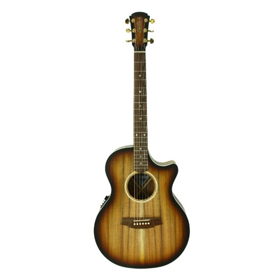 Cole Clark AN2E-BLBL Acoustic Electric Guitar inc Hard Case (Sunburst)