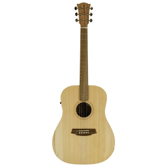 6 string acoustic electric guitar