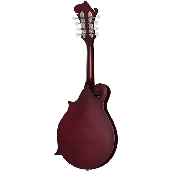 Epiphone F-5 Studio Mandolin (Wine Red Satin) inc Gig Bag