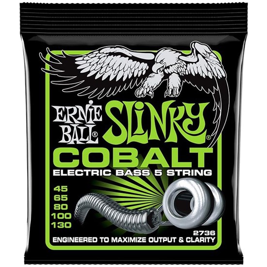 Ernie Ball Slinky Flatwound 5 String Electric Bass Strings (45-130)