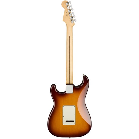 fender player stratocaster tobacco sunburst