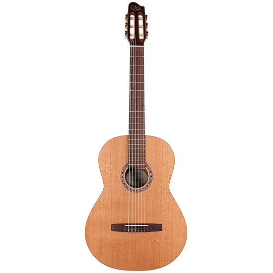 nylon string guitar