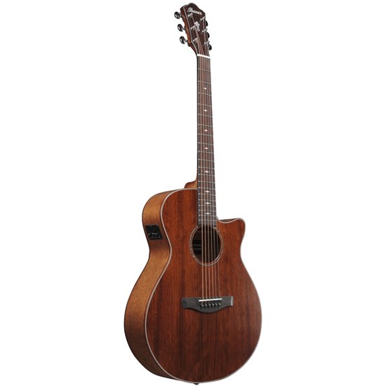 Ibanez AEG220 AEG Acoustic Guitar (Natural Low Gloss)