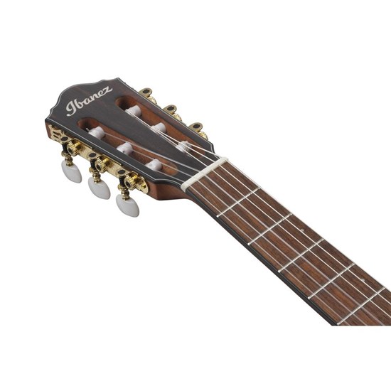 Ibanez FRH10NL BSF Left-Hand Acoustic Electric Nylon String Guitar (Brown Sunburst)