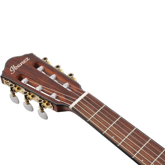 Ibanez FRH10N Acoustic Electric Nylon String Guitar (Gold Metallic)