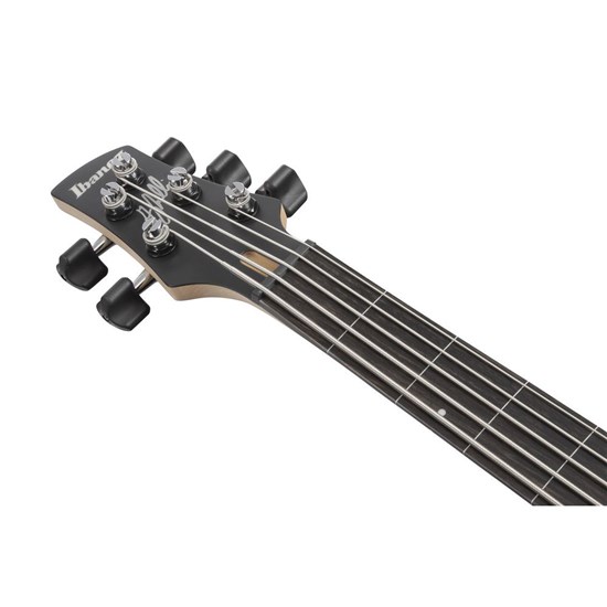 Ibanez GWB25THSWF 5 String Electric Bass (Silver Wave Burst Flat)