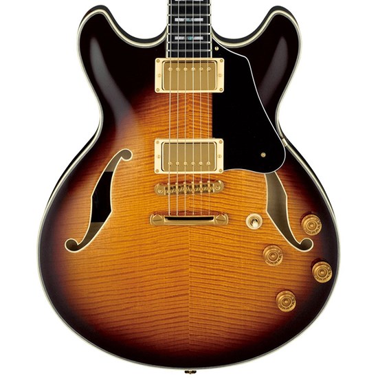 Ibanez JSM100 John Scofield Signature Semi-Hollow Electric Guitar (Vintage Sunburst)