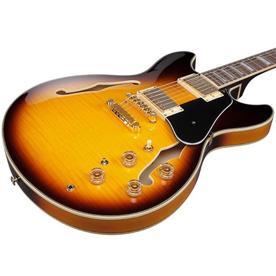 Ibanez JSM10EM John Scofield Signature Semi-Hollow Electric Guitar (Two Tone Burst)