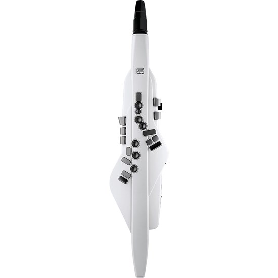 Roland AE20 Aerophone Digital Wind Instrument (White)