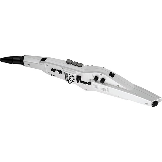 Roland AE20 Aerophone Digital Wind Instrument (White)