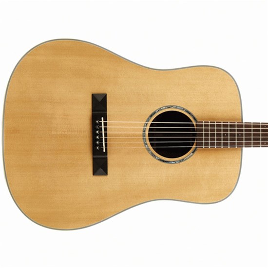 Tasman TA200-E Dreadnought Acoustic Electric Guitar (Natural) inc Hard Case