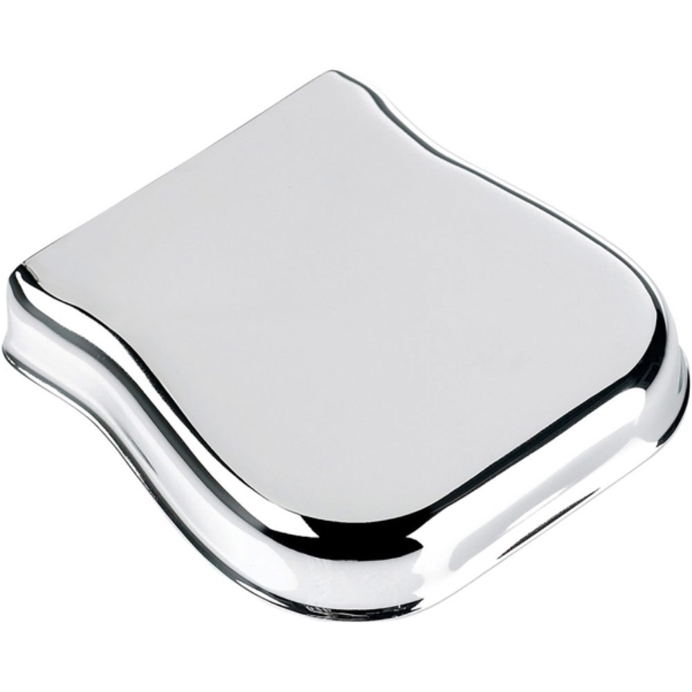 Fender Pure Vintage Telecaster Ashtray Bridge Cover (Chrome) | Spare ...